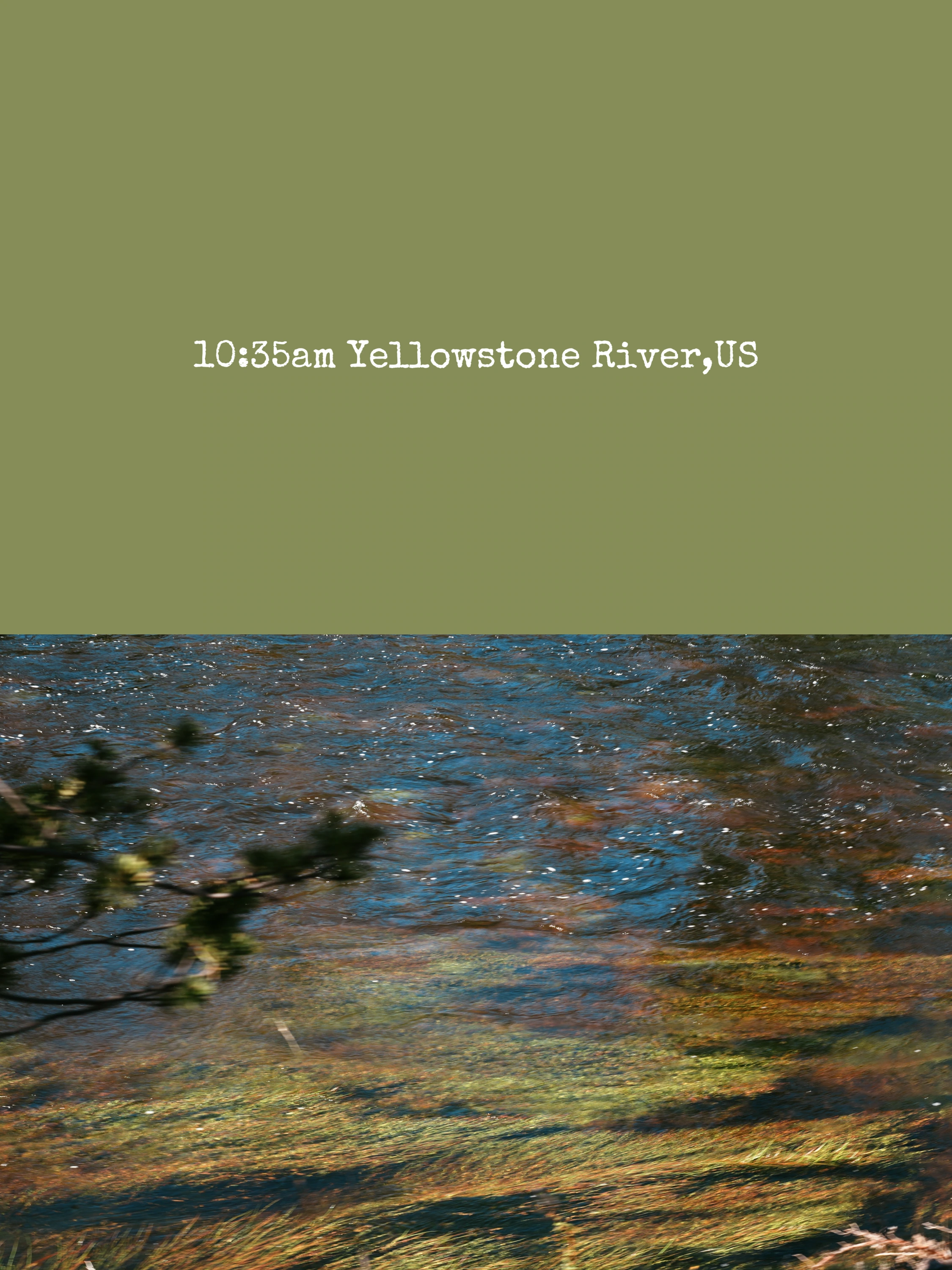 Field note, Yellowstone River: sunlit grasses beneath the current.