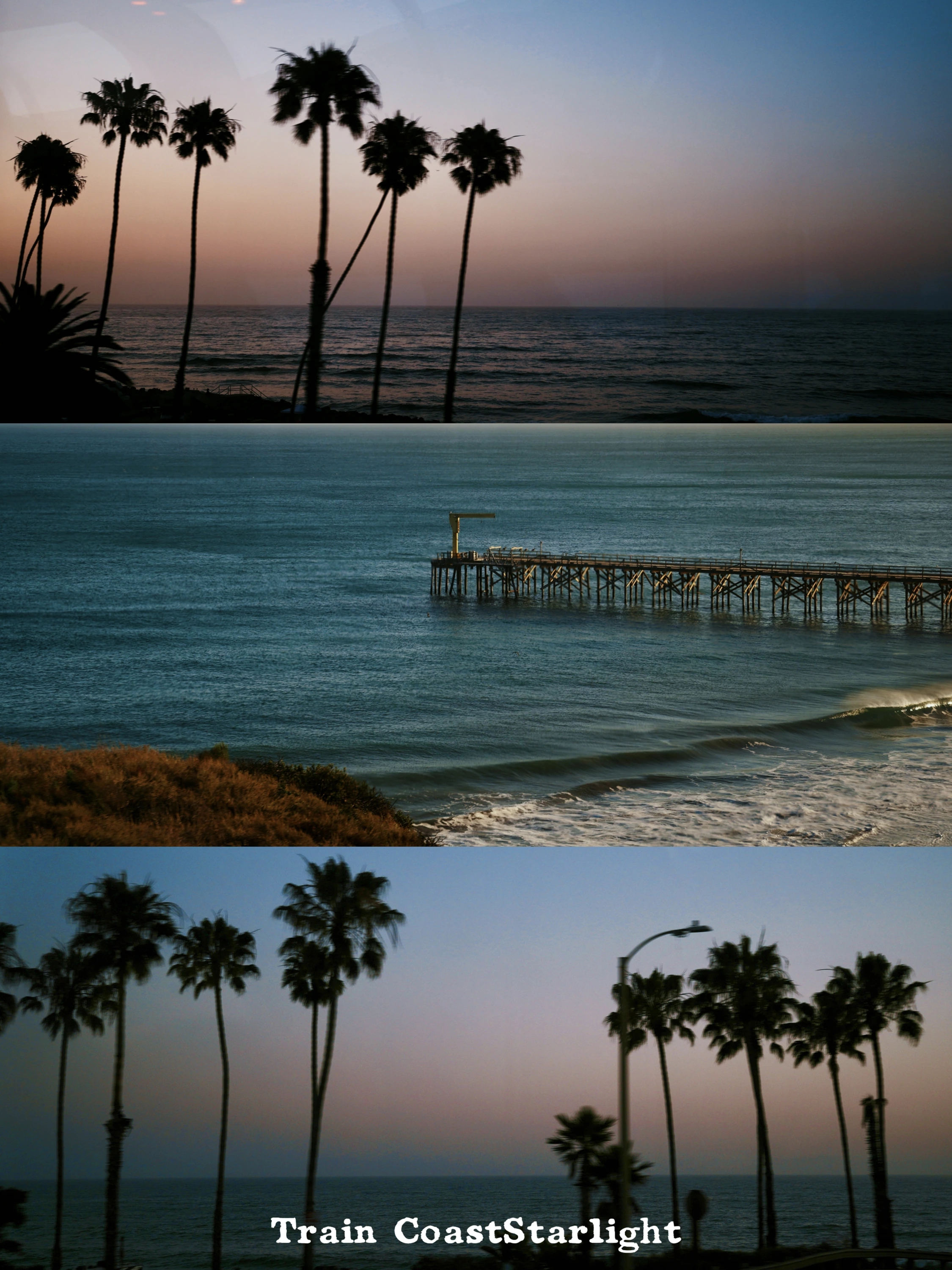 Triptych from the Coast Starlight train: palms, a pier and the Pacific at dusk.